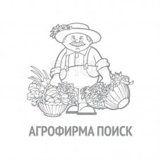 Морковь Шантенэ Роял (ЧБ) (увеличенный размер) 2 г