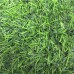 Искусственная трава 10 мм ( 2*25 м/п или 30 м/п ) 