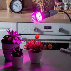 Лампа светодиодная для растений. Форма «A», прозрачная. LED-A60-15W/SPSB/E27/CL PLP30GR 