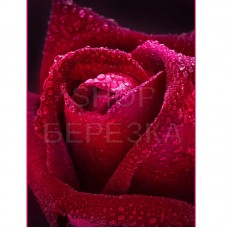Декоративное панно Бархатная роза 134х98 (2 листа)