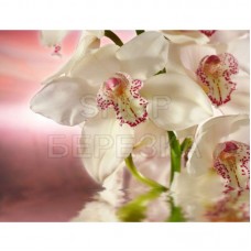 Декоративное панно Розовая орхидея 196х201 (6 листов)