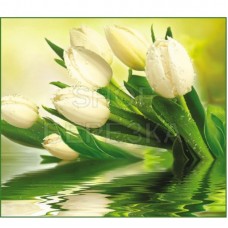 Декоративное панно VIP Белые тюльпаны 294х260 (12 листов)  