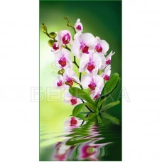 Декоративное панно VIP Орхидея 261х134 (6л) 